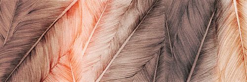 Natural Panorama Featherlight by ART Eva Maria