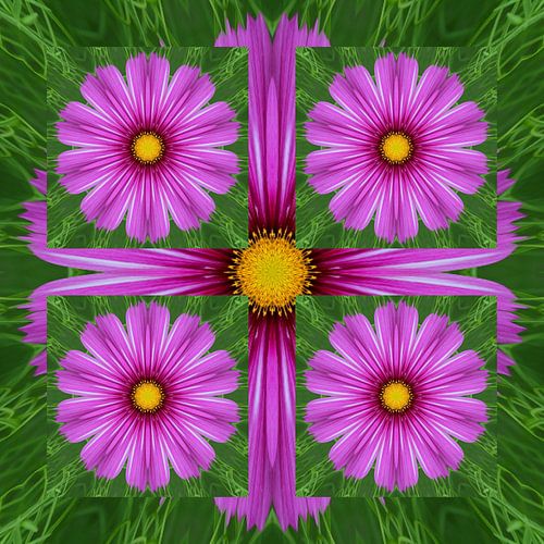 Kaleidoscope collage