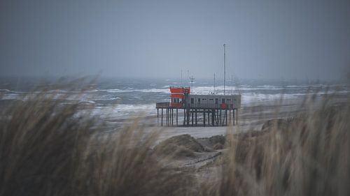 Stormy afternoon on the beach of Petten