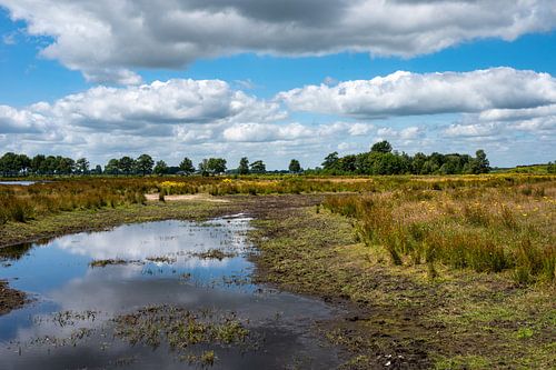 Natuurlijk overstromingsgebied