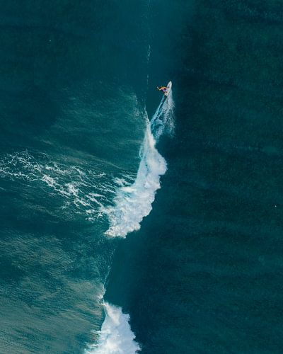 Surfen in perfecte harmonie met de golf