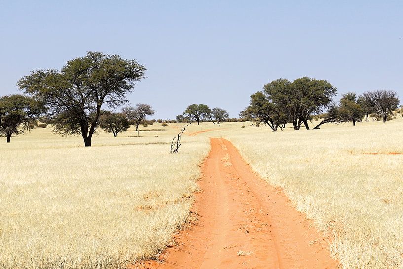 Weg door de Kalahari, Namibië van Britta Kärcher