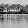 Spiegelung im Wasser von einer Baumreihe von Mark Bolijn