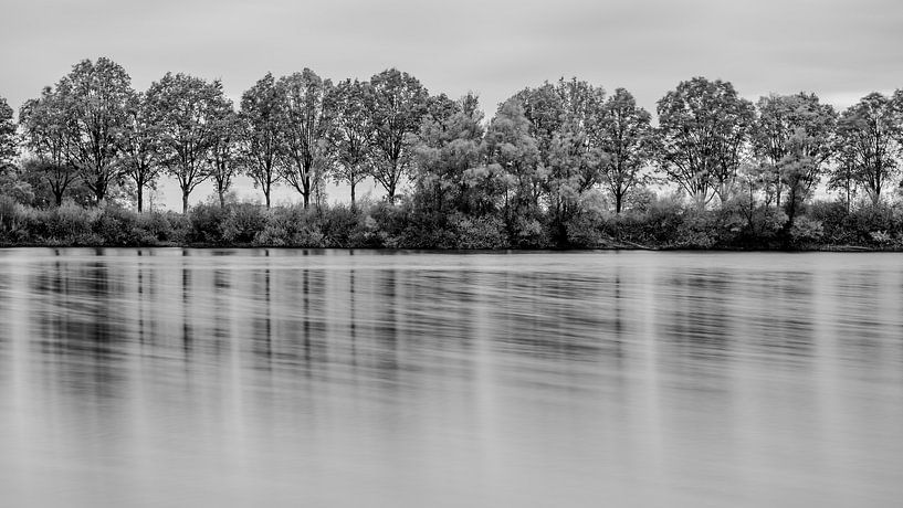 Reflection in the water from a row of trees by Mark Bolijn