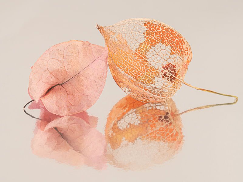 Together: So different but a good fit by Marjolijn van den Berg