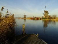 Winter in Kinderdijk