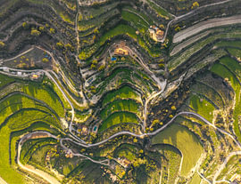 The winding lines of the landscape by Thomas Röell