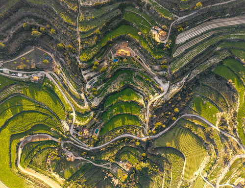 Die gewundenen Linien der Landschaft