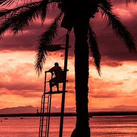 Observation de la plage au coucher du soleil  sur jody ferron