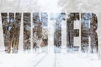 Een winters landschap