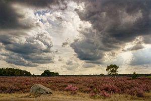 Westerheide à l'approche d'une calamité