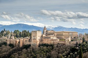 Granada's Alhambra in Andalusia by Truus Nijland