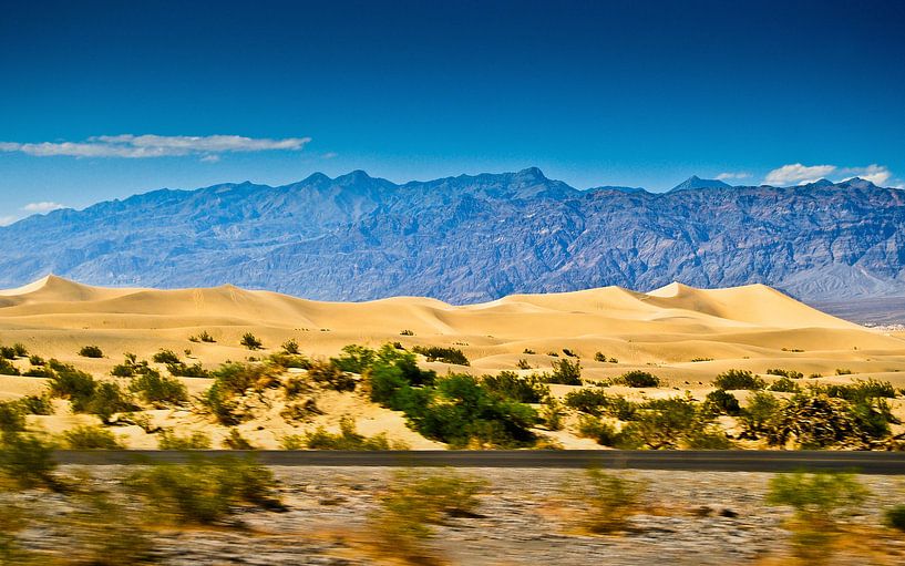 Mesquite Flat in Death Valley | USA by Ricardo Bouman Photography