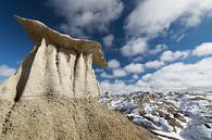Bisti Badlands in de winter New Mexico, USA van Frank Fichtmüller thumbnail