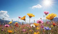 Een bloemenveld met een blauwe lucht op de achtergrond