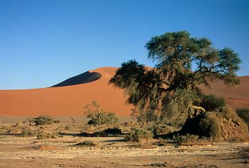 Sossusvlei van Richard Wareham