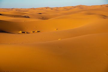 Sahara, Erg Chigaga, Marokko van Jan Fritz
