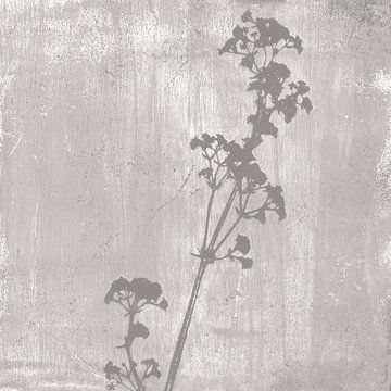 Botanische illustratie in retrostijl in licht taupe. van Dina Dankers