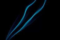 Wierook blauw van Dana Schoenmaker thumbnail