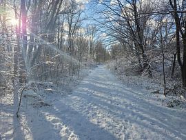 Winter in den Niederlanden (Nootdorp) von Roeland Roeten