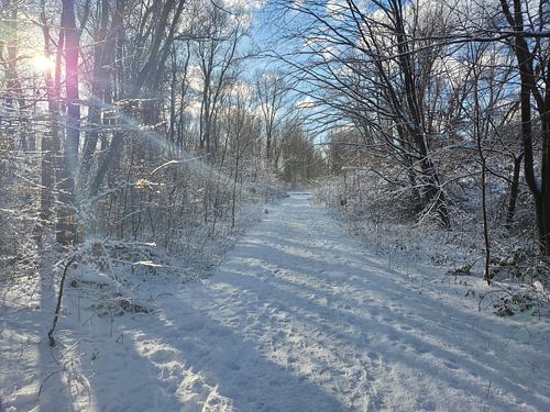 L'hiver aux Pays-Bas (Nootdorp)