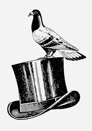The illusionist van Fineline