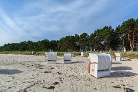 Herbe des dunes sur la plage de la mer Baltique à Prora près de Binz, Rügen