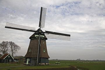 Mill in polder by Cora Unk