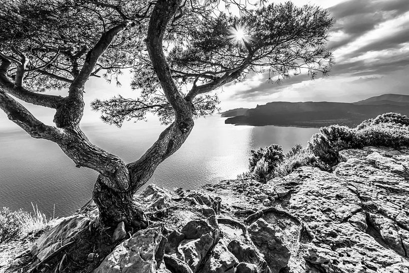 Corniche des Crêtes sur la Côte d'Azur - monochrome par Werner Dieterich