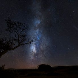Melkweg en komeet in woestijn, milky way and comet in desert van Corrine Ponsen