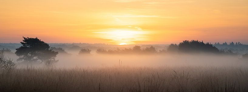 Sunrise on the Houtdorperveld by Erwin Pilon