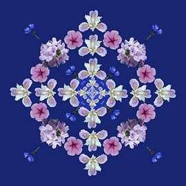Flowers 2 by Joke ten Veen