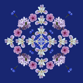 Flowers 2