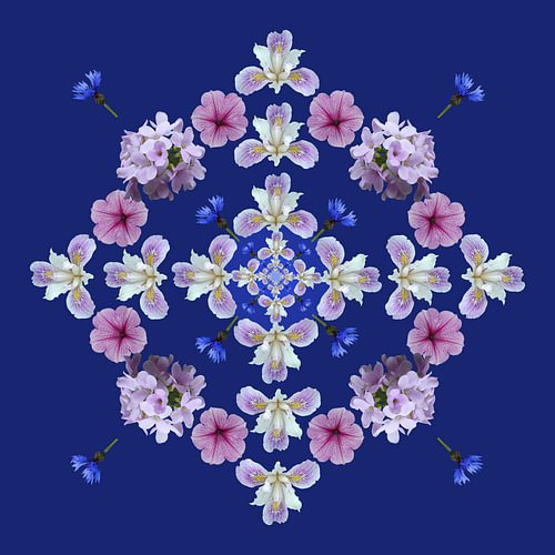 Fleurs 2
