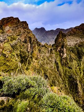 Pico do Arieiro