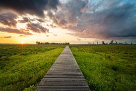 The Binnenveld Haylands