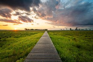 Les terres de foin du Binnenveld