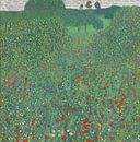 Klaprozenweide, Gustav Klimt van Meesterlijcke Meesters thumbnail