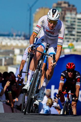 Tim Merlier UEC champion white racing shorts