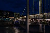 Perspective over bridge by Werner Lerooy thumbnail