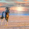 Paardje op het strand painting stijl van Marcel Kieffer