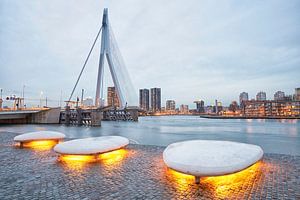 Leuchten Sie die Lichter in Rotterdam