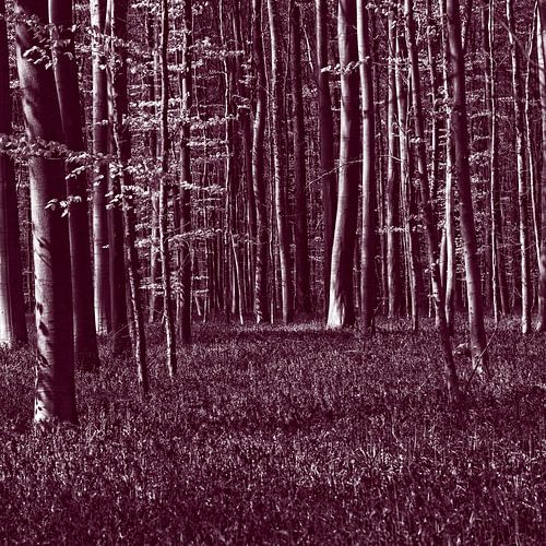 Verstilling in paars