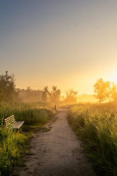 Heavenly Bench by Koen Boelrijk Photography