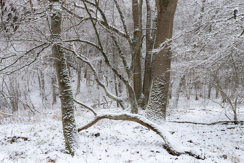 Stille von Christoph Klimt