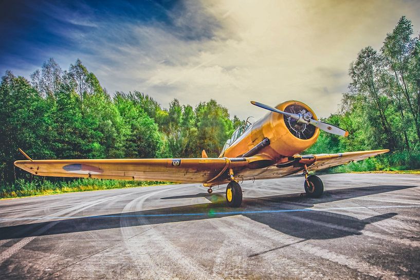 Harvard T-6 par Freddy Hoevers