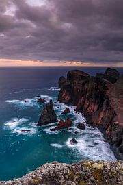 Ponta de Sao Lourenco1