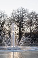 Winter in Brussels' Cinquantenaire Park (colour)
