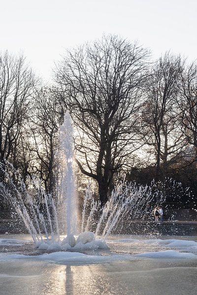 Winter in het Jubelpark van Brussel (kleur) van Jochem Oomen