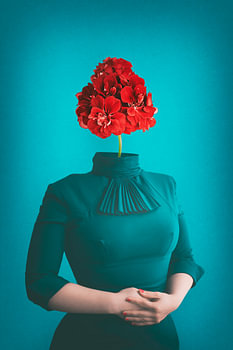 Tradwife aesthetics and social media – art about image-making